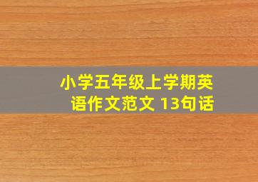 小学五年级上学期英语作文范文 13句话